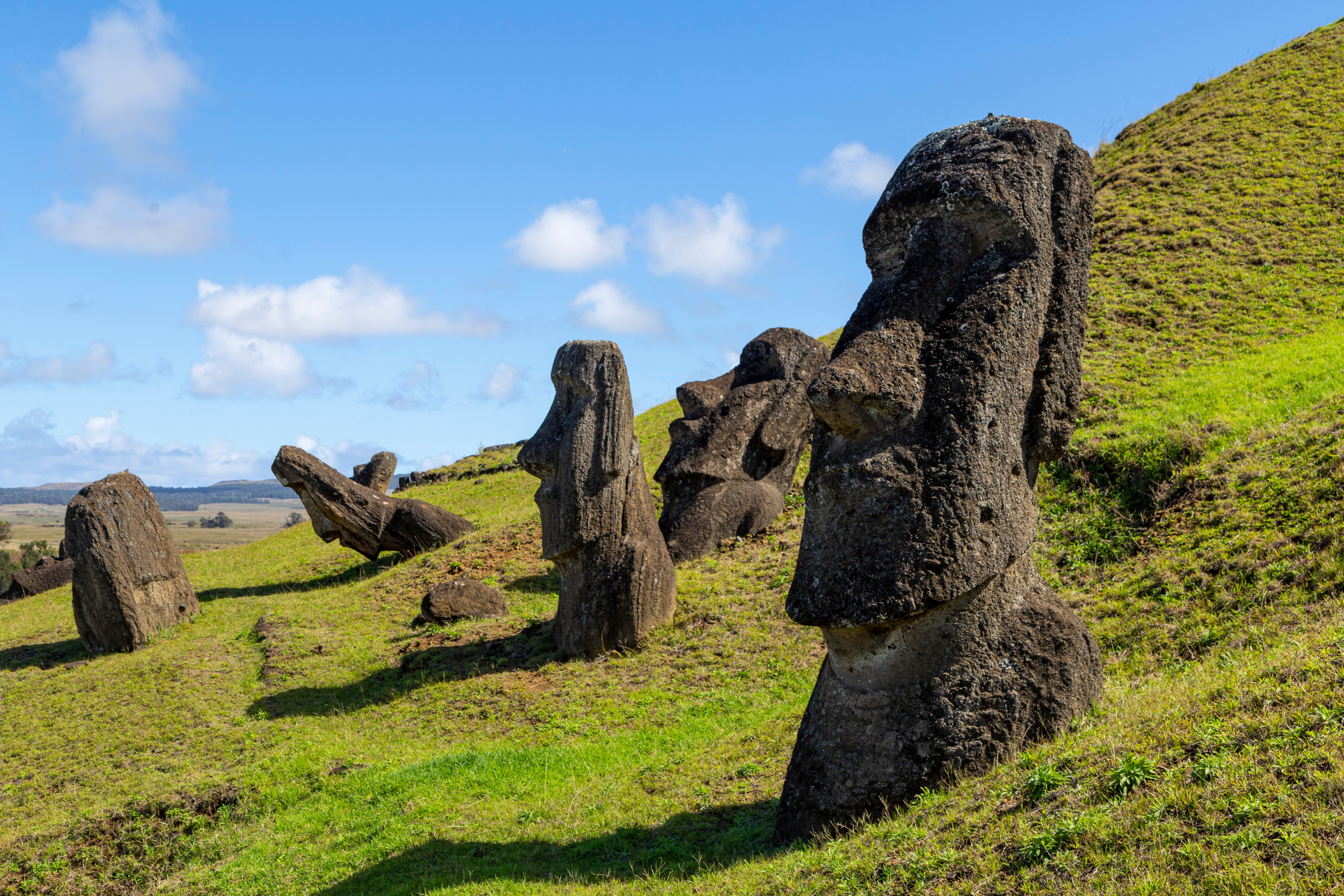 7 rapa island.webp